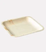 9x6 Inch Areca Leaf Trays1