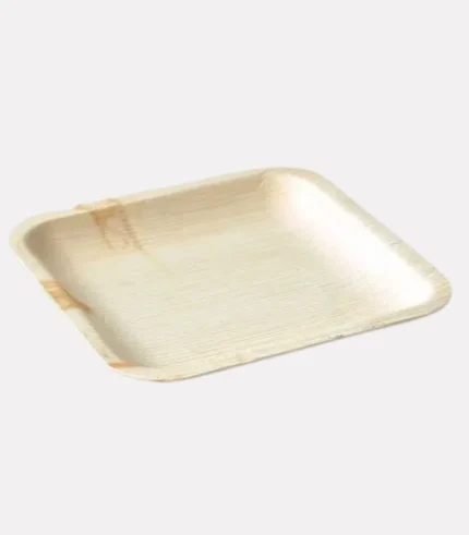 9x6 Inch Areca Leaf Trays1